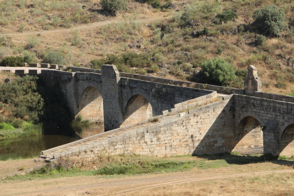 IMG_8808 (Copier).JPG