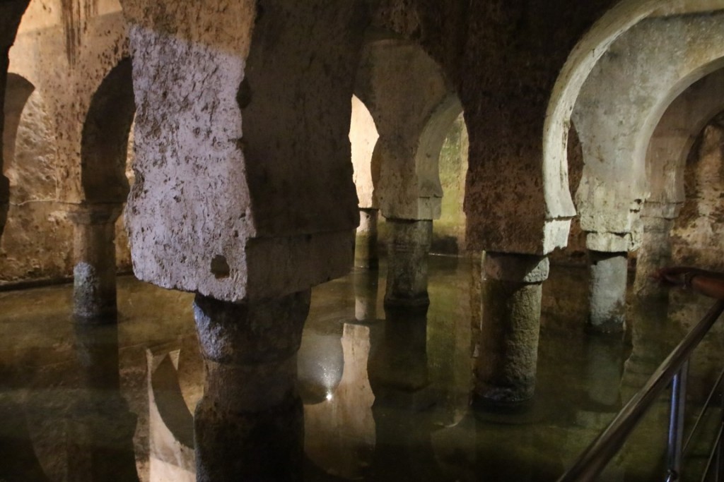 IMG_8747 (Copier).JPG