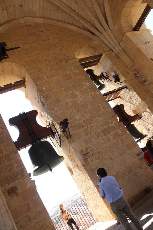 IMG_9882 (Copier).JPG