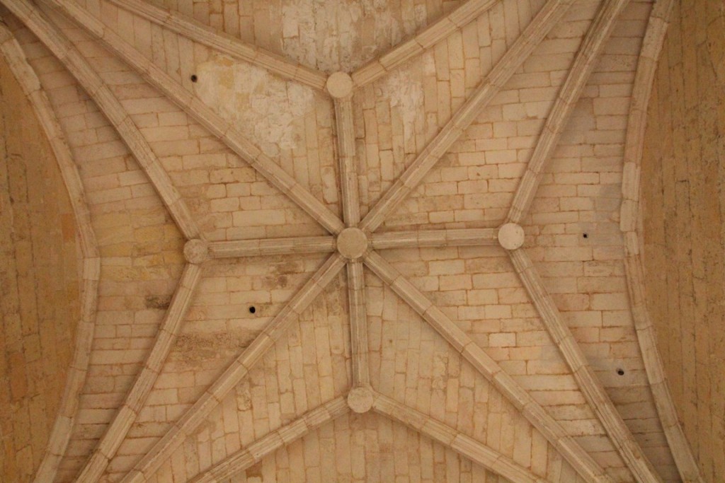 IMG_9916 (Copier).JPG