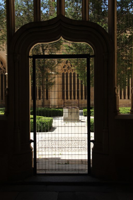 IMG_9959 (Copier).JPG