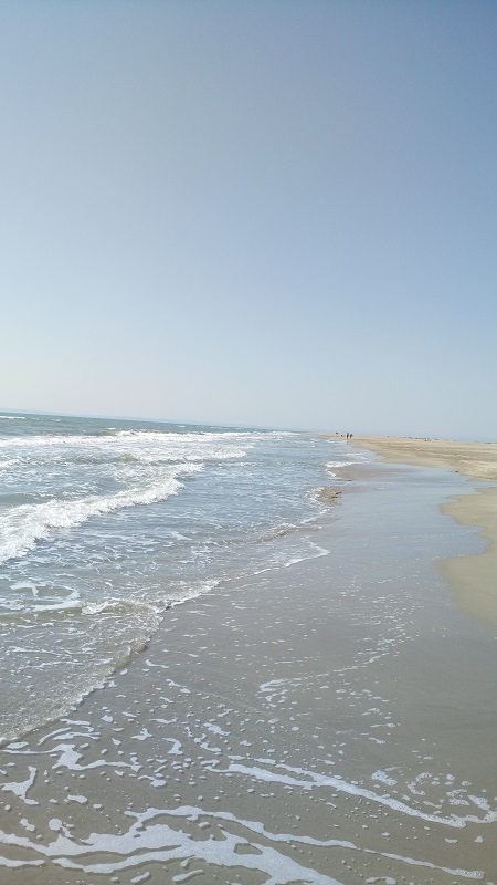 Plage de l'Espiguette.JPG