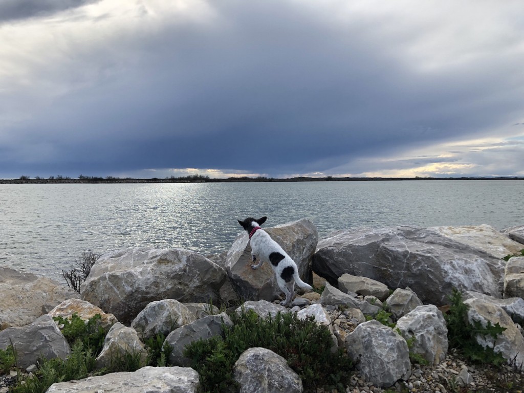 Ma Poulette à la découverte de la mer !!