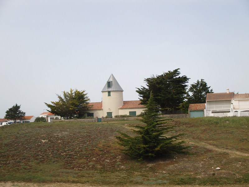 16.JPG