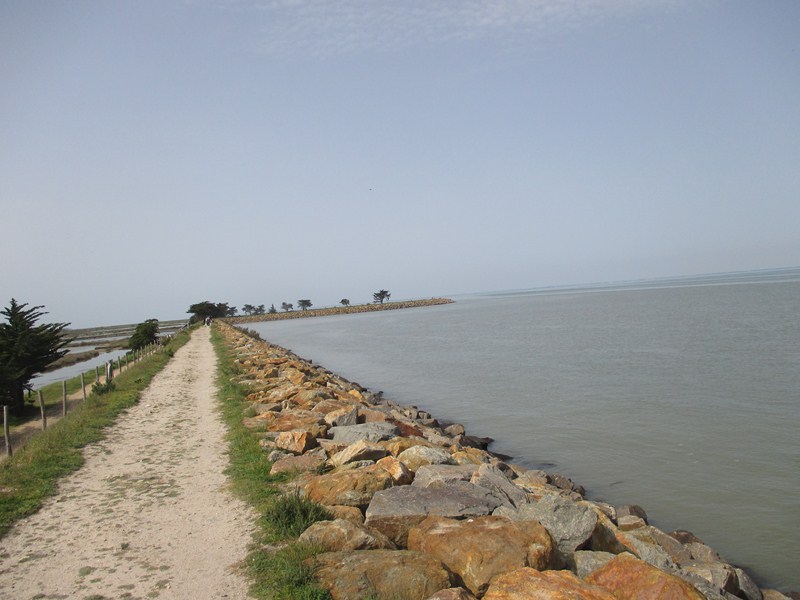 19.JPG