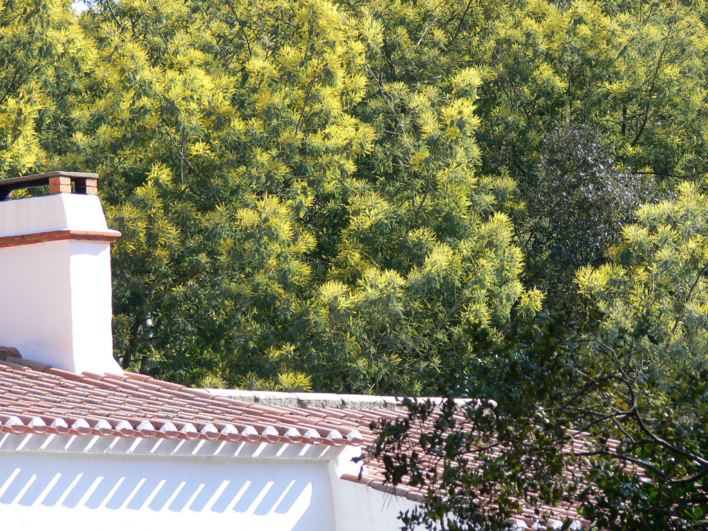 noirmoutier-3.jpg