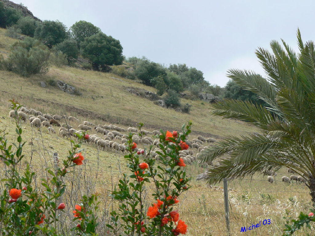 P1080500.jpg