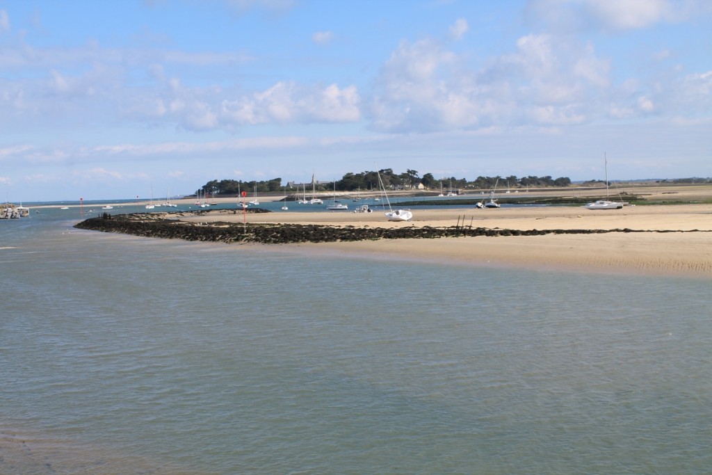 IMG_5098b.JPG