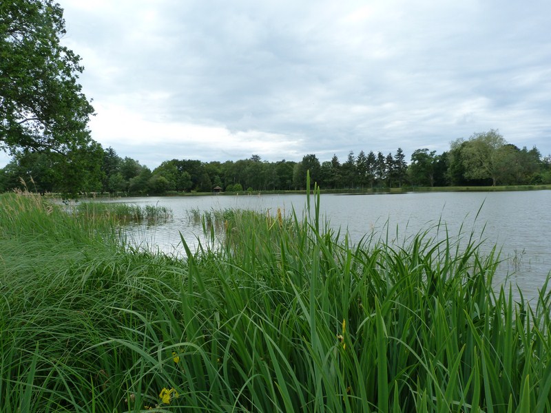 P1120921 (Copier).JPG