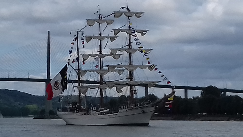 20190616_155320 Parade sous le Pont de Brotonne. Caudebec en Caux.jpg