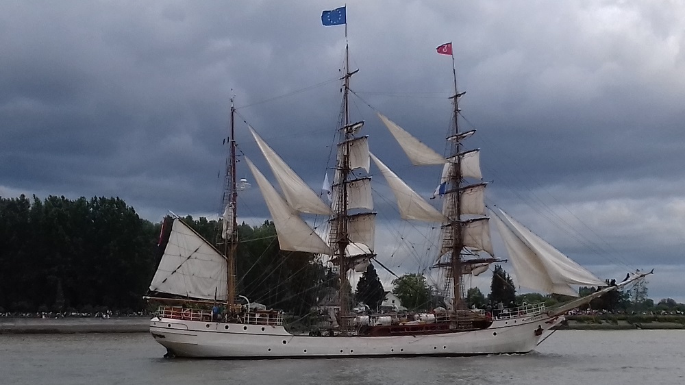 20190616_163852 Parade sous le Pont de Brotonne. Caudebec en Caux.jpg