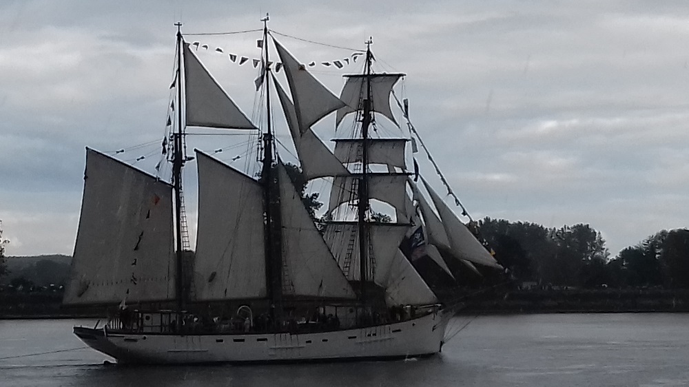 20190616_183118 Parade sous le Pont de Brotonne. Caudebec en Caux.jpg