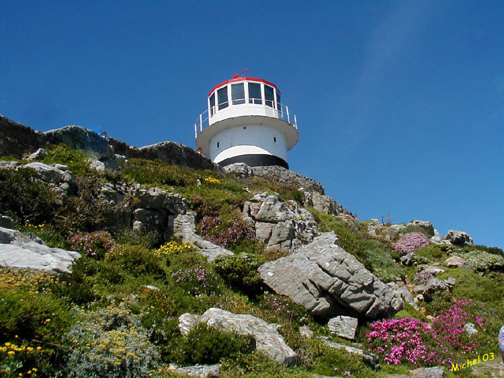 PA220984.jpg