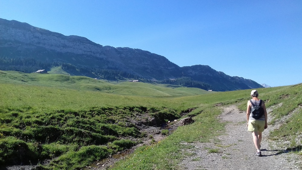 20190705_095119 Rando à Notre Dame des Neiges.jpg