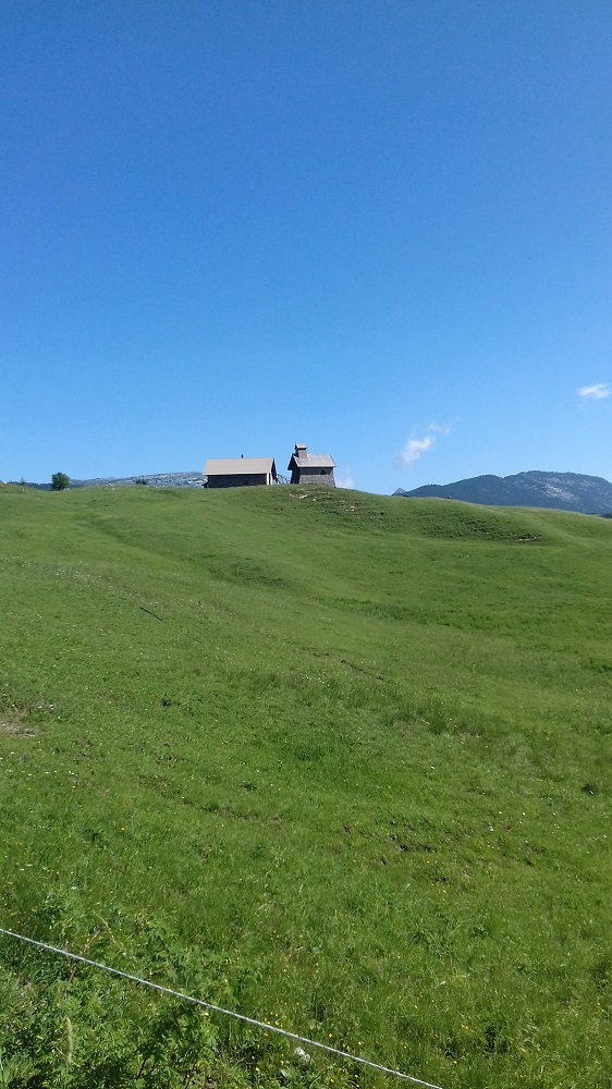 20190705_102915 Rando à Notre Dame des Neiges.jpg