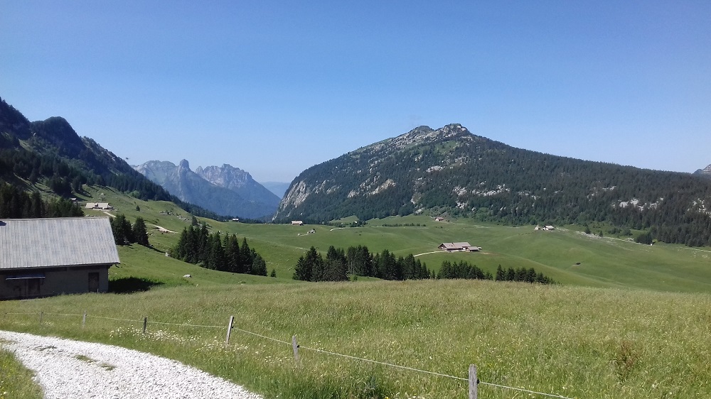 20190705_110423 Rando à Notre Dame des Neiges.jpg