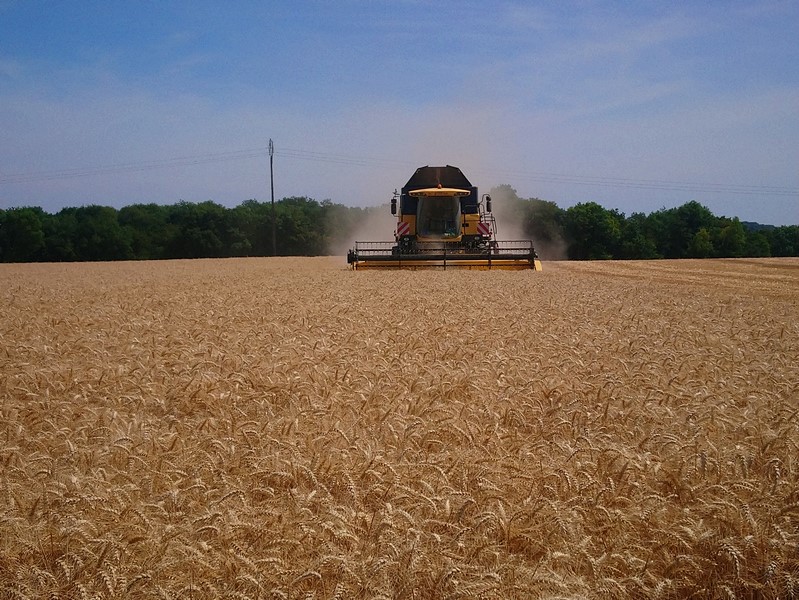 15 heures, 32° à l'ombre.<br />Heureusement, y a la clim !