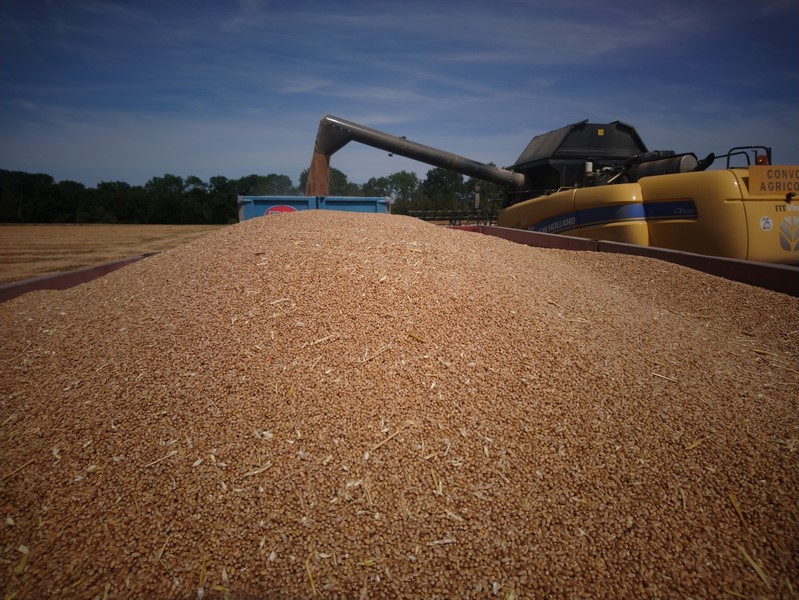 DSC_0717 (Copier).JPG