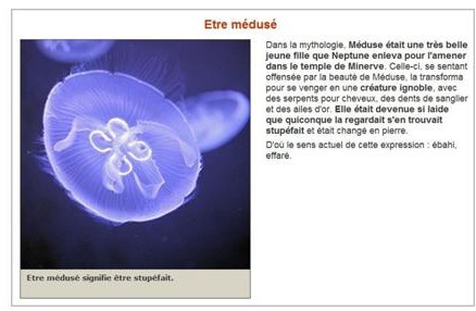 Etre médusé.JPG