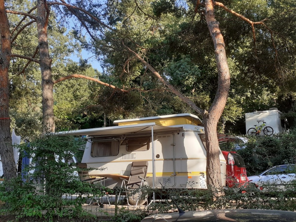 à Esparron sur Verdon 1200.jpg