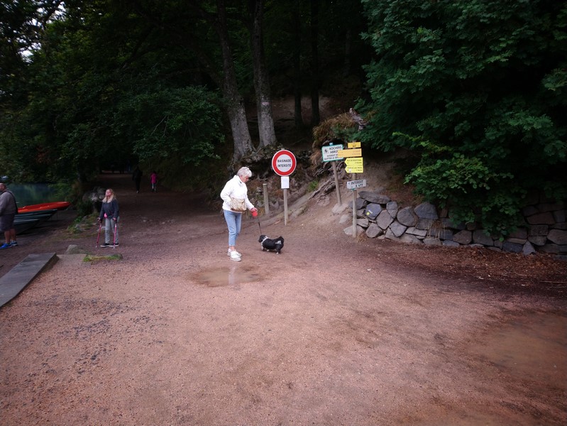 DSC_0783 (Copier).JPG