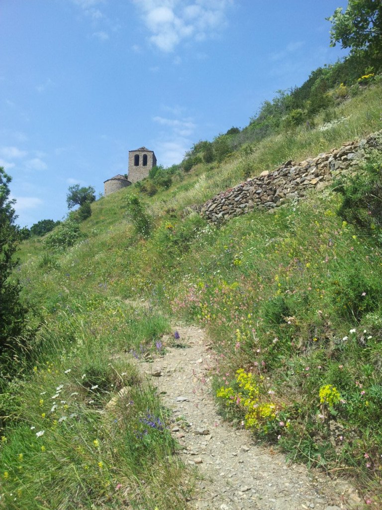 20160629_121221.jpg