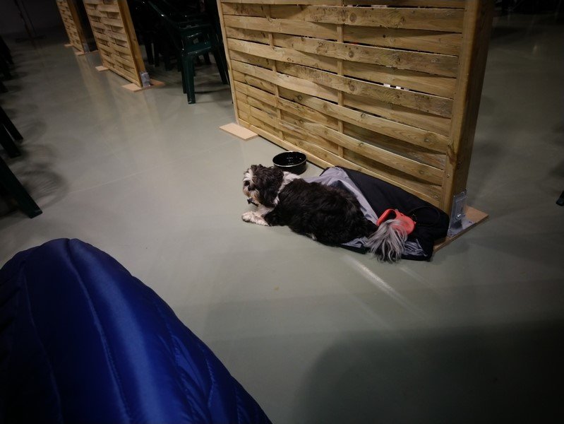 DSC_0909 (Copier).JPG