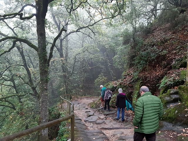 Foret en San Pesdro de Rocas.jpg