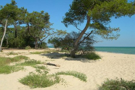 camping-ile-de-re-trousse-chemise.jpg