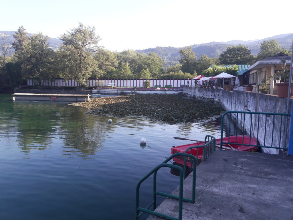20190629_193746.jpg