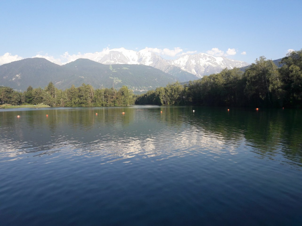 20190629_193759.jpg