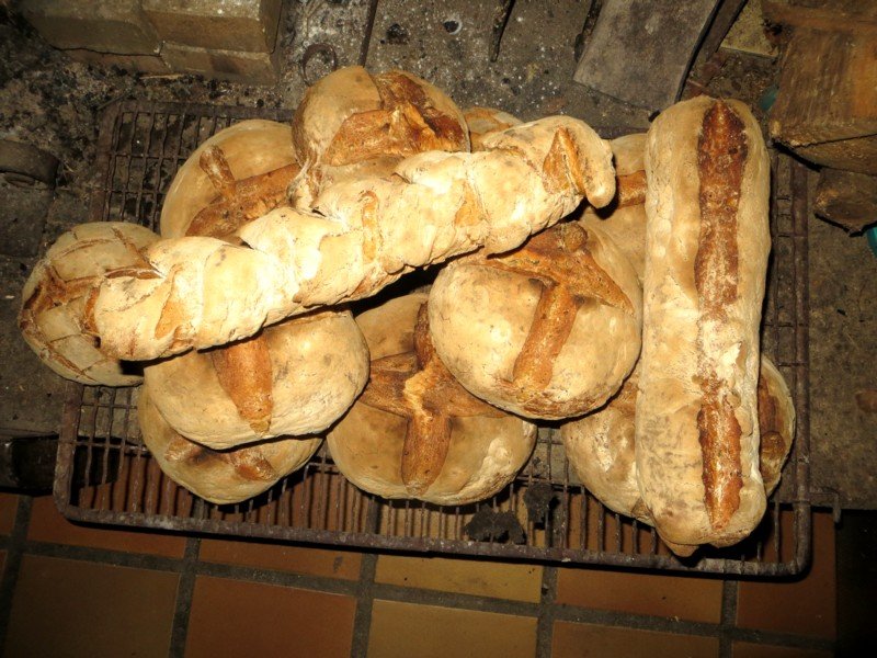 Pains 018.jpg