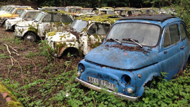 fiat_500jpg.jpg