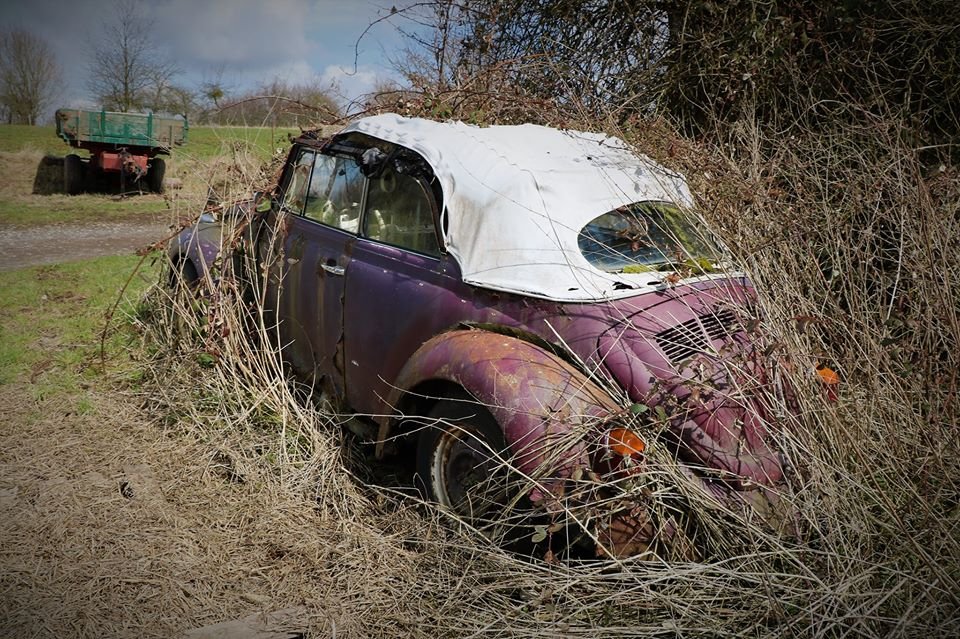 Cox cabrio.jpg