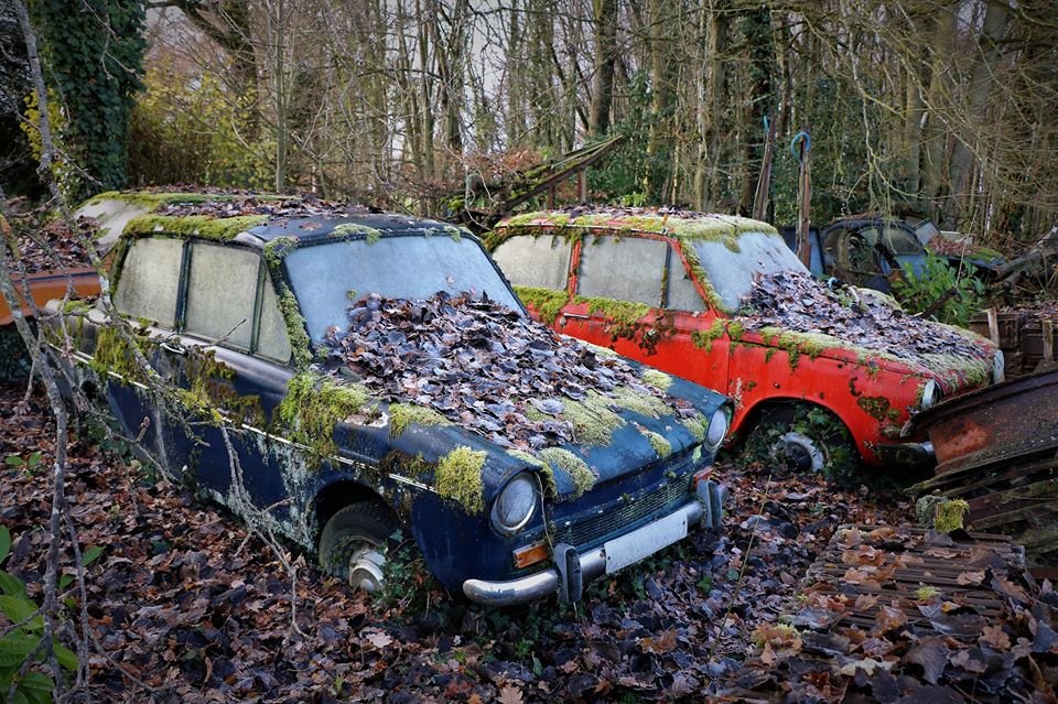 DAF.jpg