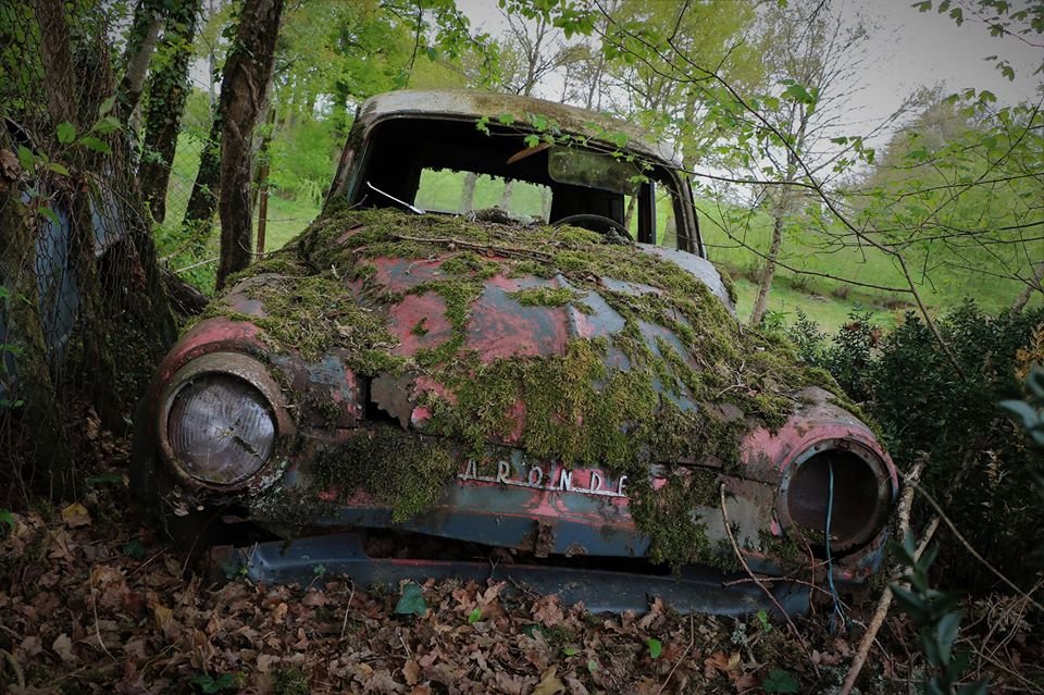 Aronde2.jpg