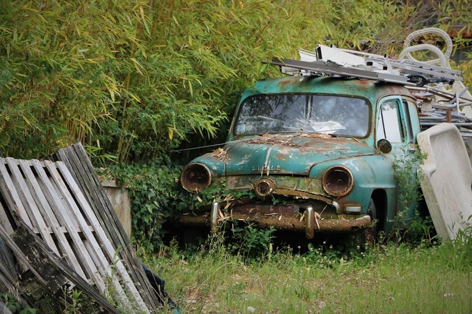 Aronde.jpg
