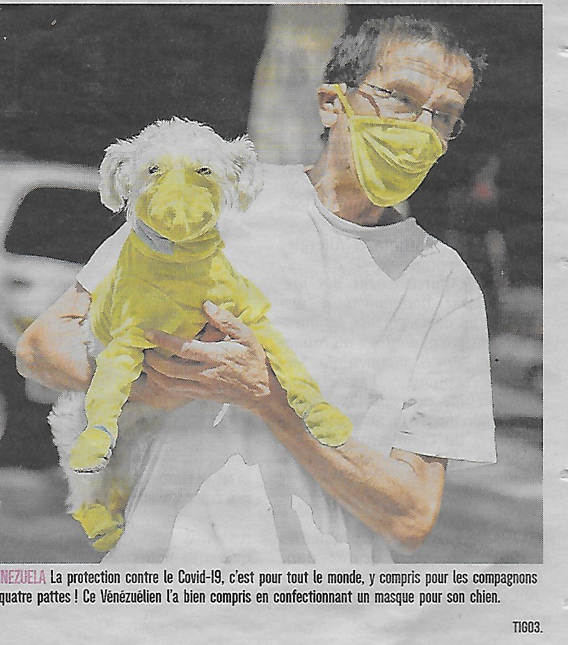 Masque chien.jpg