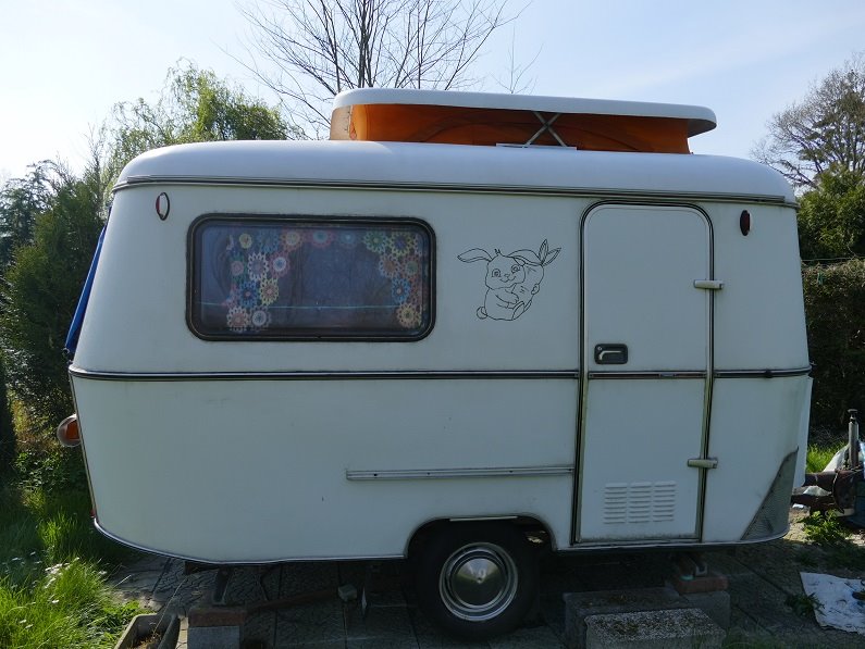 P1180673 panpan 1.jpg