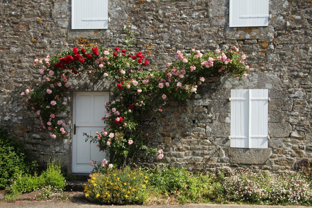 IMG_1192 (Copier).JPG