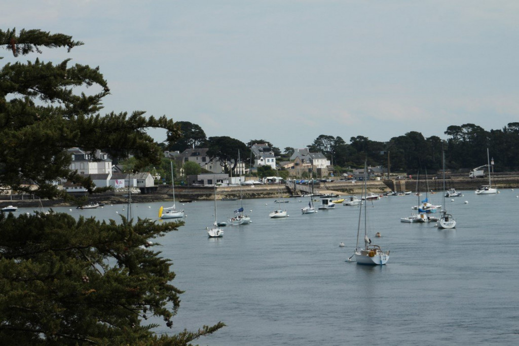 IMG_1344 (Copier).JPG