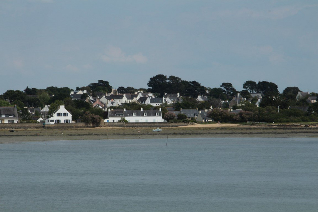 IMG_1354 (Copier).JPG