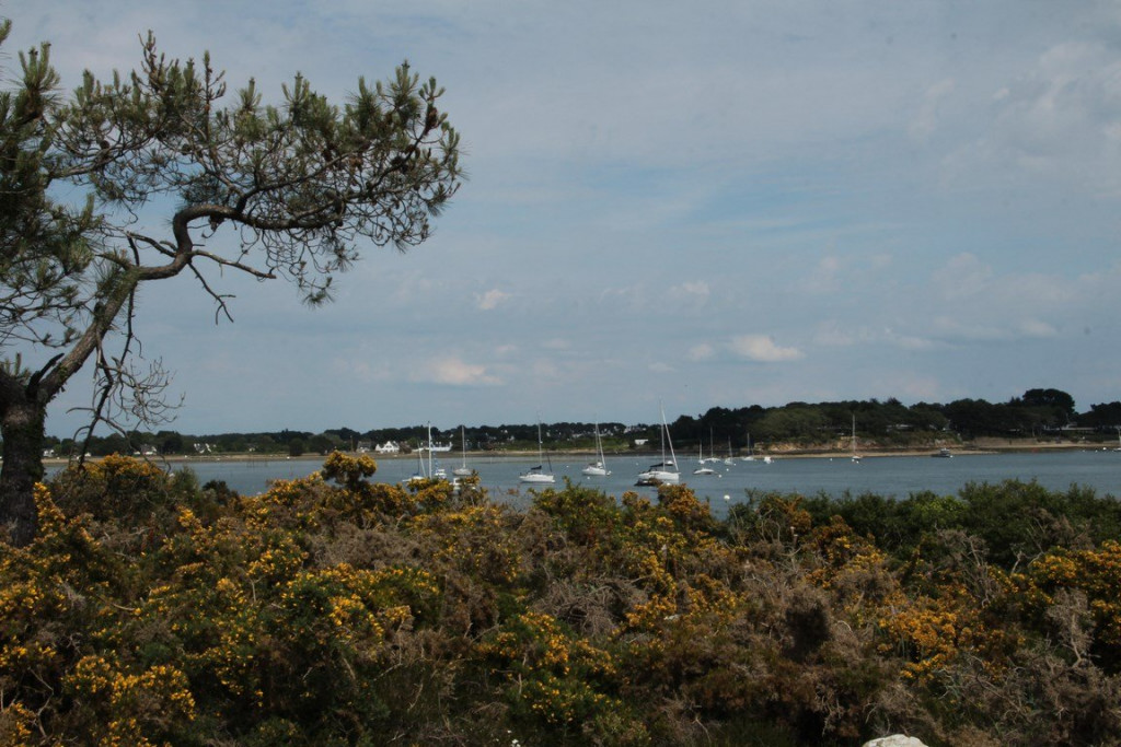 IMG_1358 (Copier).JPG