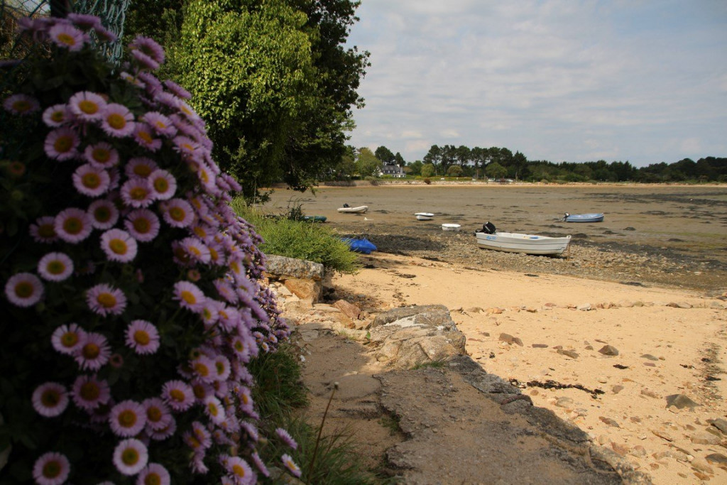 IMG_1365 (Copier).JPG