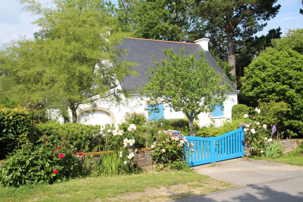 IMG_1373 (Copier).JPG