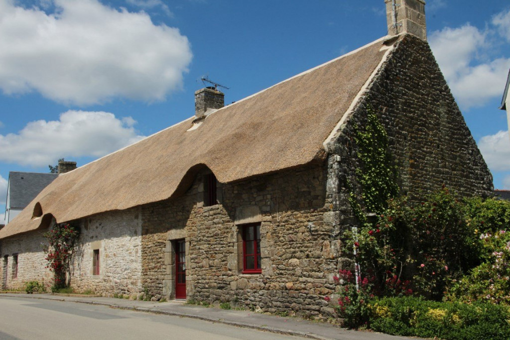 IMG_1397 (Copier).JPG