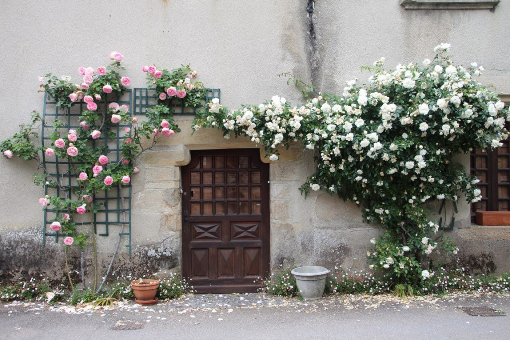 IMG_1437 (Copier).JPG