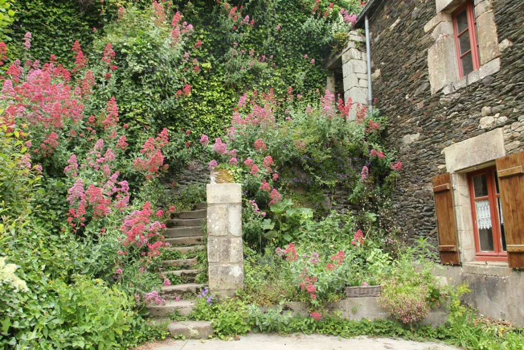 IMG_1515 (Copier).JPG