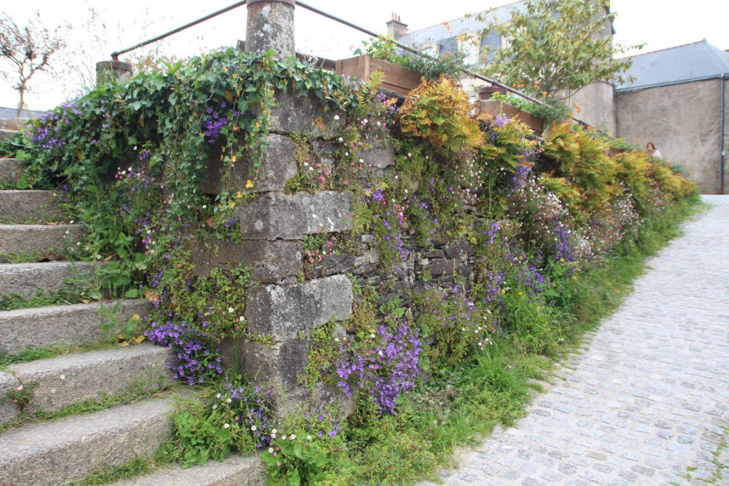 IMG_1530 (Copier).JPG