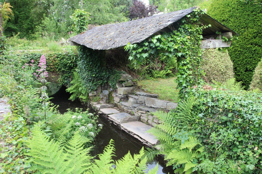 IMG_1554 (Copier).JPG